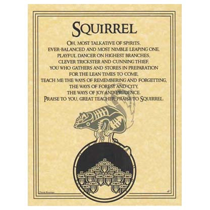 Squirrel Prayer poster