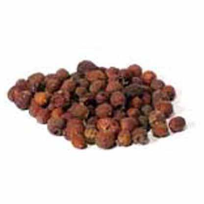 1 Lb Hawthorn Berries whole (Crataegus laevigata) - Skull & Barrel Co.