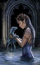 Water Dragon Card - 6 Pack - Skull & Barrel Co.