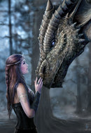 Once Upon A Time Card - 6 Pack - Skull & Barrel Co.