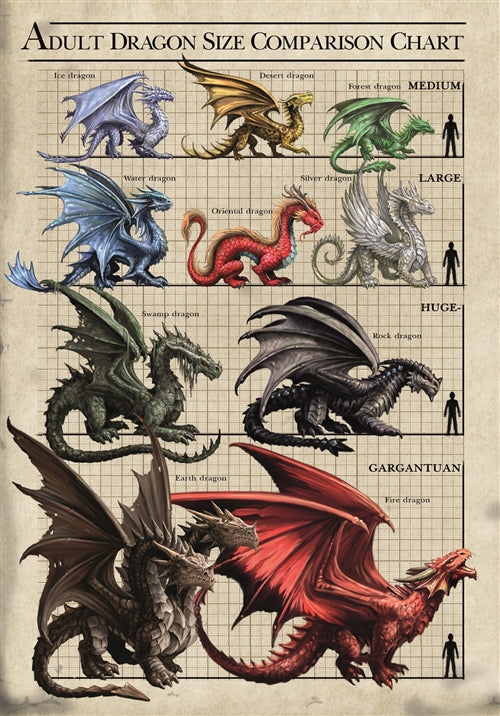Size Chart Dragons Cards - 6 Pack - Skull & Barrel Co.