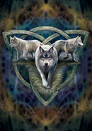 Wolf Trio Card - 6 Pack - Skull & Barrel Co.
