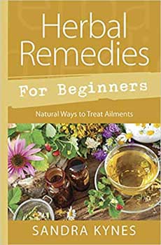 Herb Remedies for Beginners by Sandra Kynes - Skull & Barrel Co.