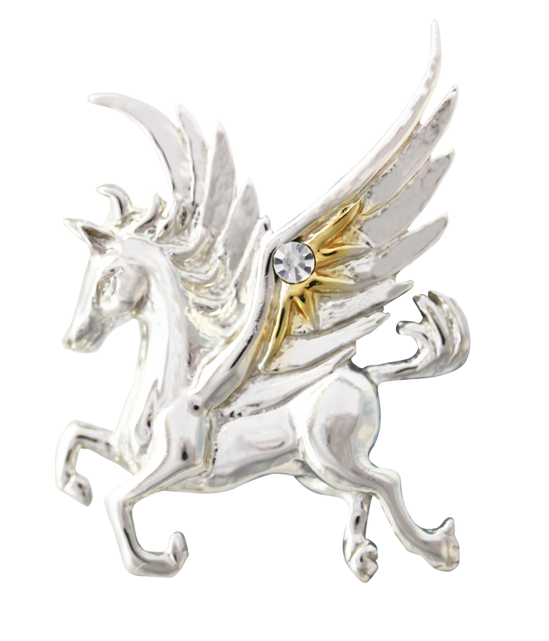 Pegasus of the Stars for Quick Thought & Creativity by Anne Stokes - Skull & Barrel Co.