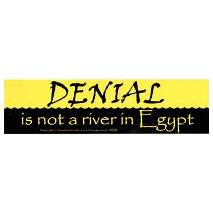 Denial Is Not A River In Egypt bumper sticker