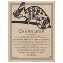 Chameleon Prayer poster