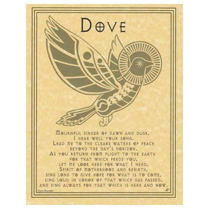Dove Prayer poster