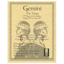 Gemini zodiac poster