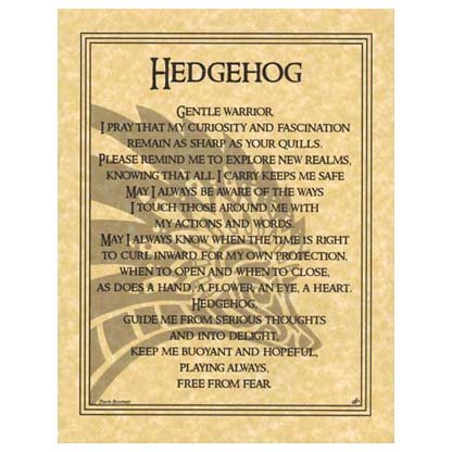 Hedgehog Prayer poster