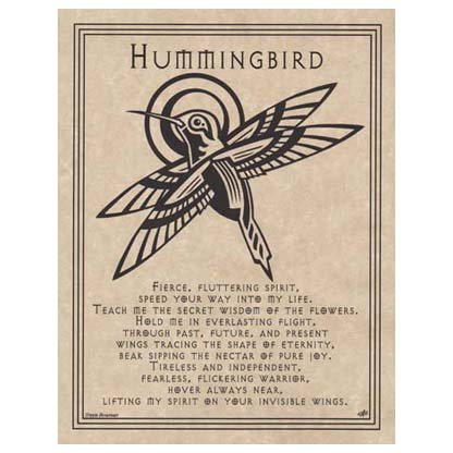 Hummingbird Prayer poster