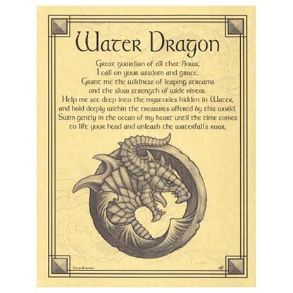 Water Dragon poster