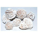 1 lb Desert Rose - Skull & Barrel Co.