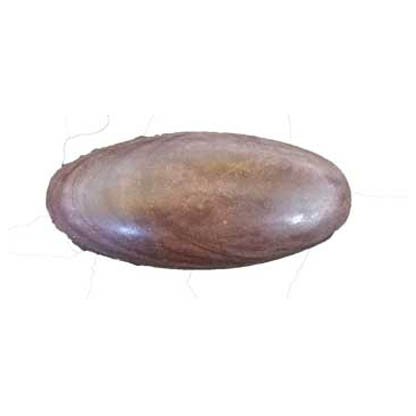 6" Shiva Lingam stone from India