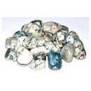 1 lb Agate, Tree tumbled stones - Skull & Barrel Co.