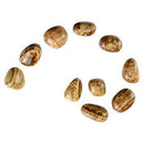 1 lb Aragonite tumbled stones - Skull & Barrel Co.