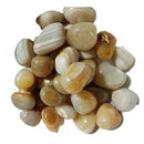 1 lb Banded Agate tumbled stones - Skull & Barrel Co.