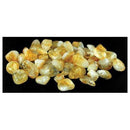 1 lb tumbled Citrine stones - Skull & Barrel Co.