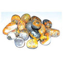 1 lb Jasper, Bumble Bee tumbled stones - Skull & Barrel Co.