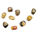 1 lb Petrified Wood tumbled stones - Skull & Barrel Co.