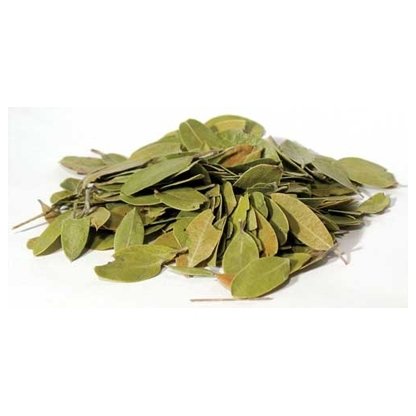 Bearberry mexican whole 1oz (Uva Ursi)