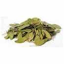 1 Lb Bearberry (Uva Ursi) (mexican) - Skull & Barrel Co.