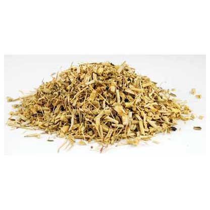 1 Lb Dog Grass, root cut (Agropyron repens) - Skull & Barrel Co.