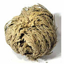 Jericho Flowers (1 flower) (Selaginella lepidophylla)