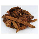 1 Lb Jezebel Root (Pinus) - Skull & Barrel Co.