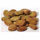 Mojo Wish Bean 2oz (Vicia faba)