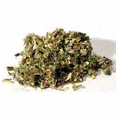1 Lb Mugwort cut (Artemisia vulgaris) - Skull & Barrel Co.