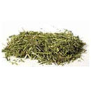 Scullcap cut 1oz (Scutellaria lateriflora)