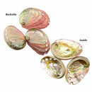 2" - 3" Abalone Shell incense burner - Skull & Barrel Co.