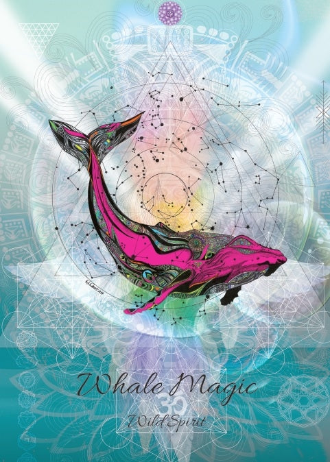 Whale Magic Card for Wild Spirit - Skull & Barrel Co.
