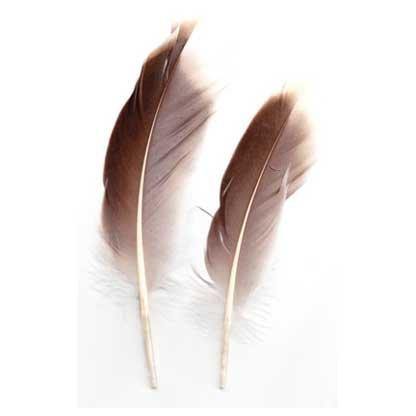 Natural Gray Goose feather - Skull & Barrel Co.
