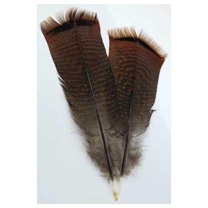 Bronze Pre-tail Turkey feather - Skull & Barrel Co.