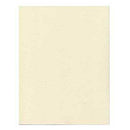 Heavy Parchment Paper 5 Pack 8 1/2" x 11" - Skull & Barrel Co.