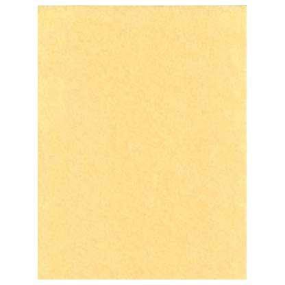 Light Parchment Paper 25 Pack(8 1/2" x 11") - Skull & Barrel Co.