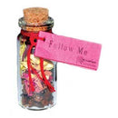 Follow Me pocket spellbottle - Skull & Barrel Co.