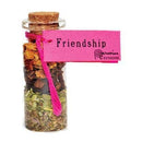 Friendship pocket spellbottle - Skull & Barrel Co.
