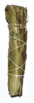 4" Eucalyptus Citriodora smudge stick - Skull & Barrel Co.