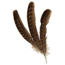 Barred Wing Smudging Feather - Skull & Barrel Co.