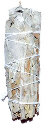 California White Sage smudge stick 3" - Skull & Barrel Co.