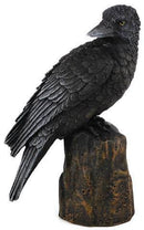 Backward Looking Raven 6" - Skull & Barrel Co.